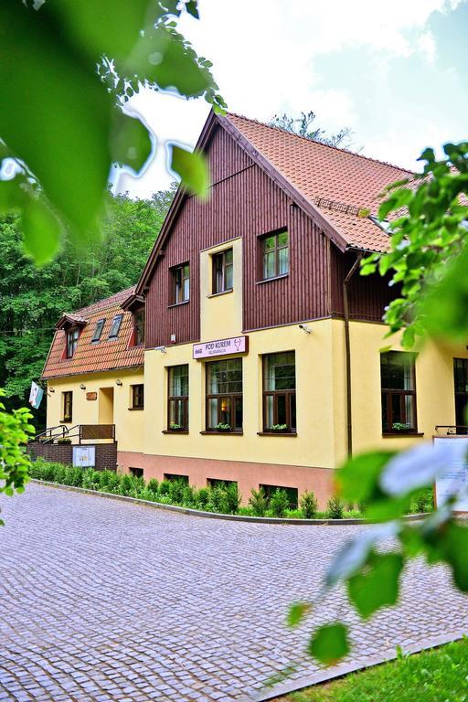 Willa Strzelnica Hotel คอชเชียซือนา ภายนอก รูปภาพ